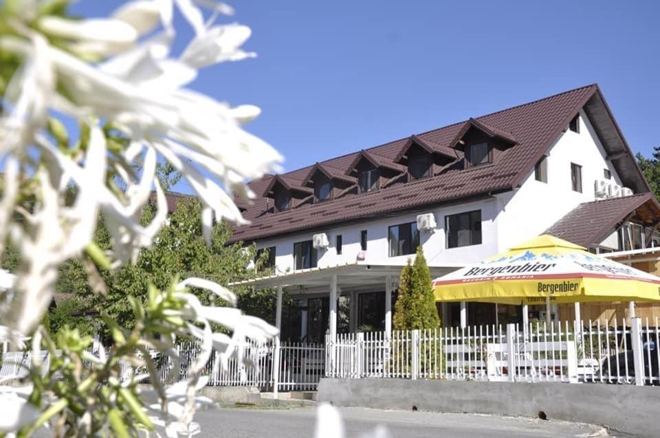 Gasthof Pensiunea Vasy Xl *